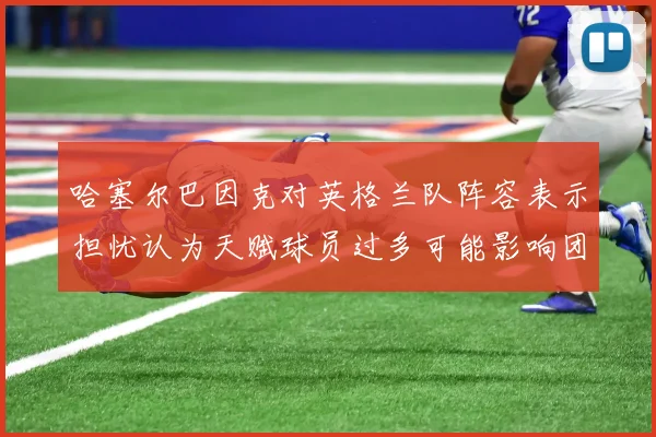哈塞尔巴因克对英格兰队阵容表示担忧认为天赋球员过多可能影响团队合作