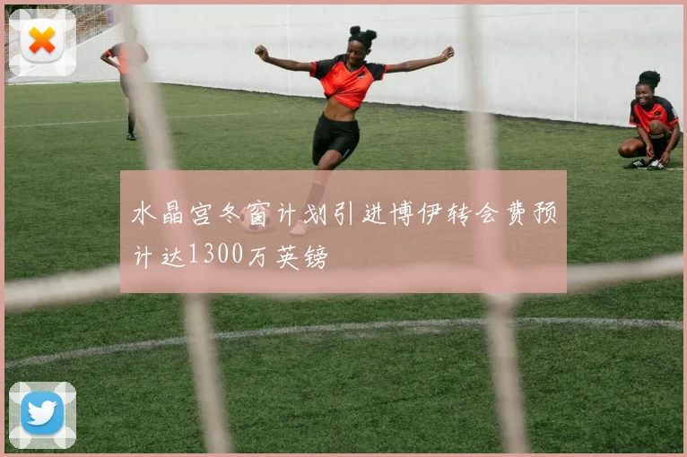 水晶宫冬窗计划引进博伊转会费预计达1300万英镑