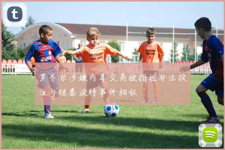 罗齐尔涉嫌内幕交易被指控非法投注与琼泰波特事件相似