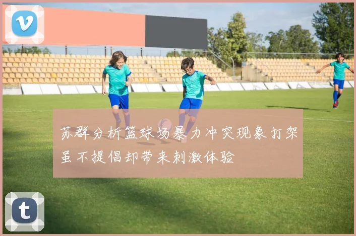 苏群分析篮球场暴力冲突现象打架虽不提倡却带来刺激体验