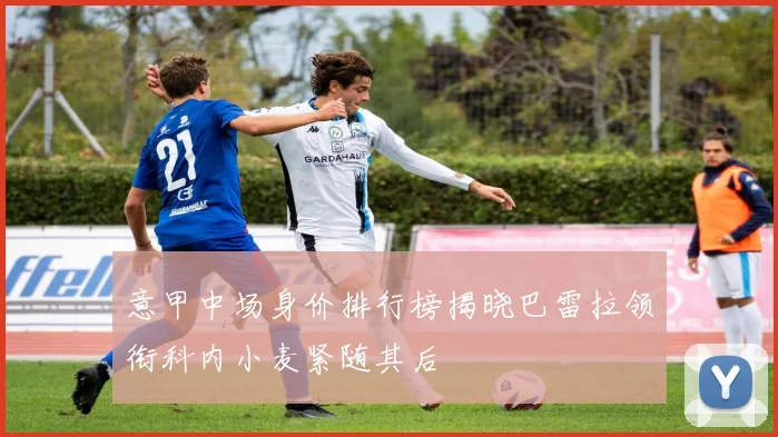 意甲中场身价排行榜揭晓巴雷拉领衔科内小麦紧随其后