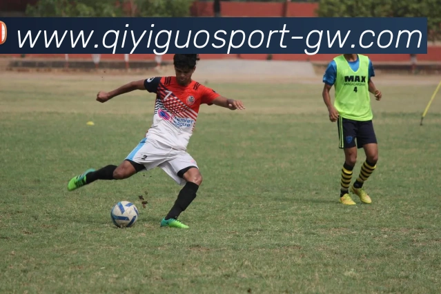 奇异果体育平台生态图