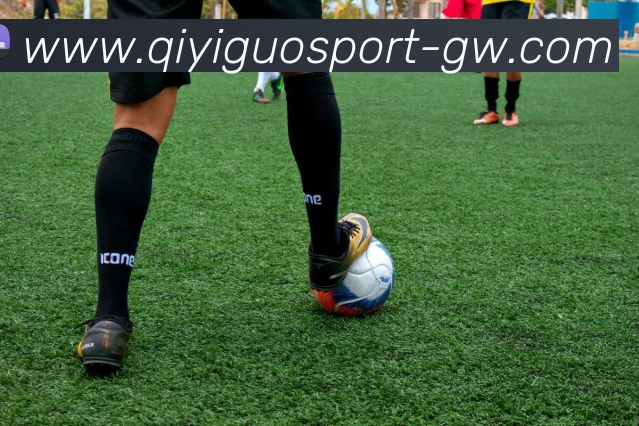 奇异果体育全站App